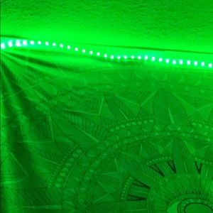 Meet your Posher, Natalia